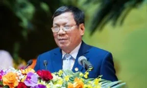 Đề xuất người Việt Nam ở nước ngoài được ứng cử đại biểu Quốc hội